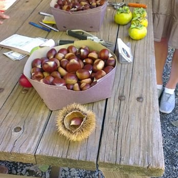 Hangtown Kid Apple Orchard - Chestnuts and persimmons. - Fruits & Veggies Near Me - Camino, California