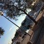 Photo of s'arenal petit