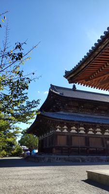 To-ji Temple by null
