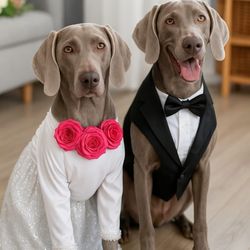 Giving Grace Event Planning