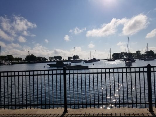 Belmont Harbor by null