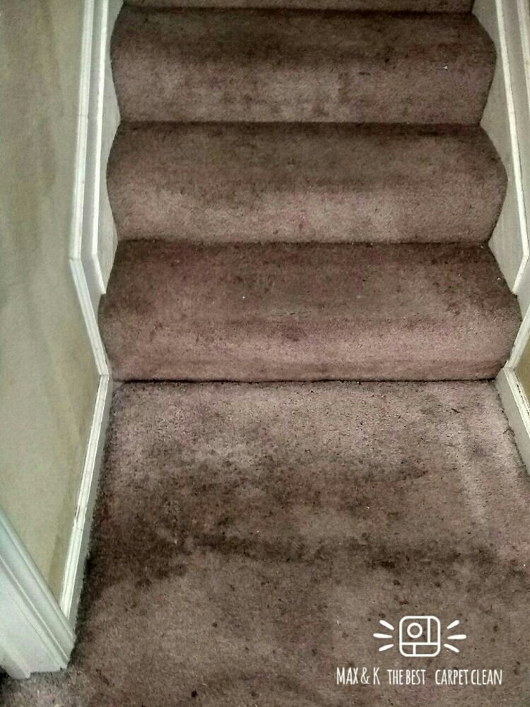 MAX & K CARPET CLEANING with 39 real customer photos Updated August