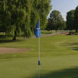 Crane's Landing