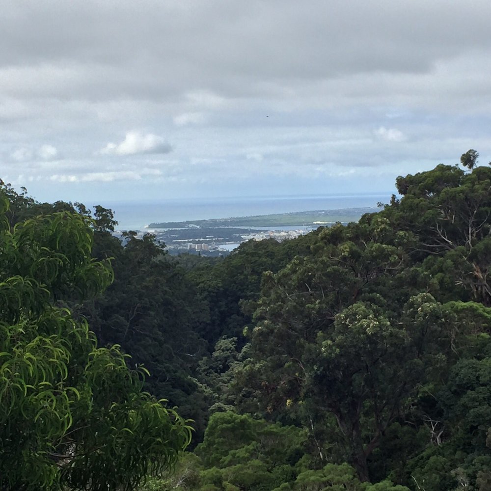 Aiea Loop Trail - Hiking Near Me - Aiea, Hawaii