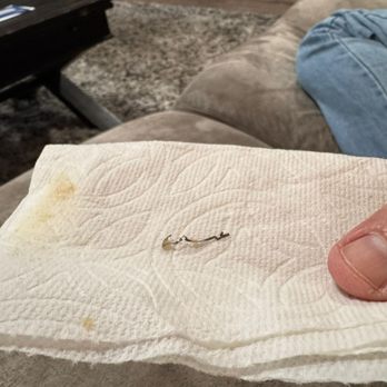 Szechuwan Garden - A piece of metal in Szechuwan Garden's lo mein. - Seafood Near Me - Canoga Park, California