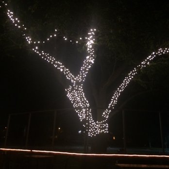 Wine Sensation - Pretty lights on the patio - Wine Bars Near Me - Georgetown, Texas Wine Sensation - Pretty lights on the patio - Wine Bars Near Me - Georgetown, Texas