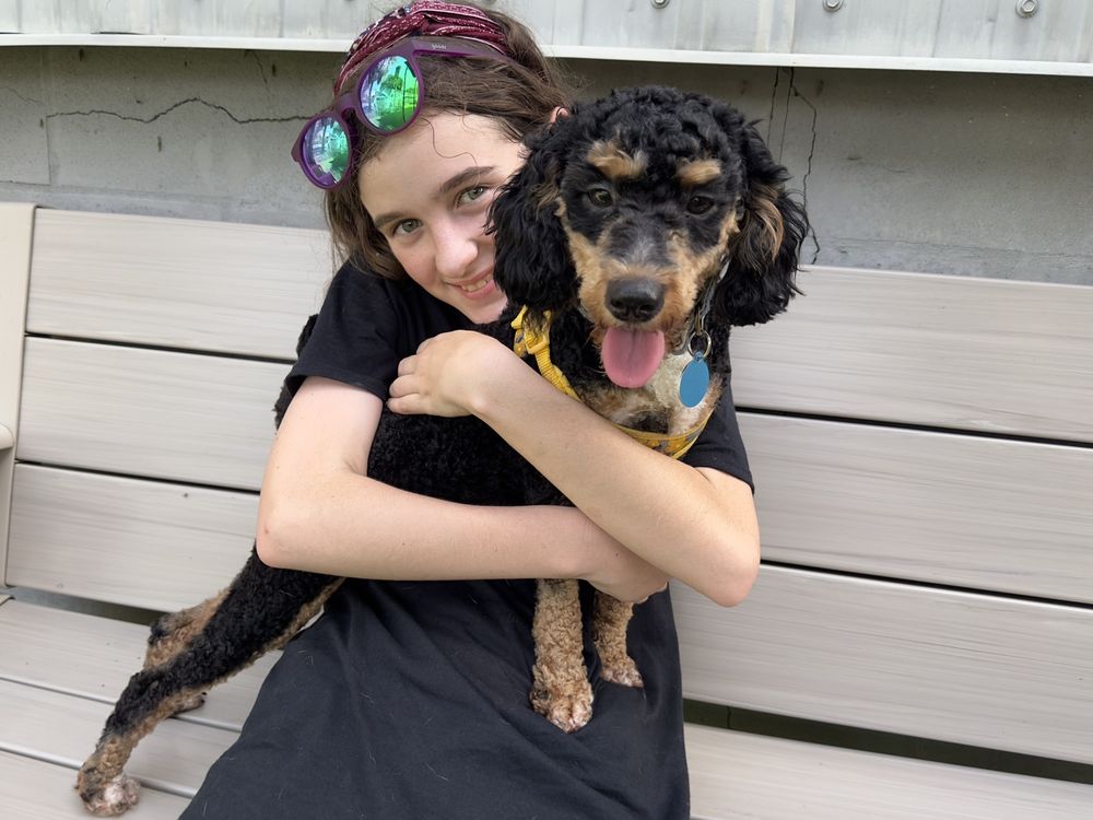 ZACK’S PACK K9 DOG TRAINING AND BEHAVIOR Tampa Bay, Florida Pet