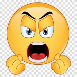 Idea Ingram Hills - I am beyond furious. My sons teacher had the AUDACITY to say BLM in class?? My family is very sensitive and we do not tolerate this behavior