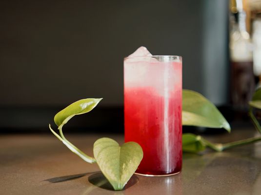 Elegy Coffee Germantown by null