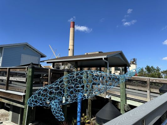 Manatee Viewing Center by null