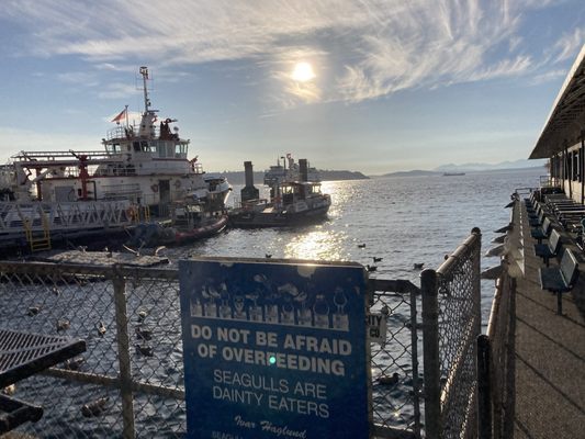 Ivar's Acres of Clams by null