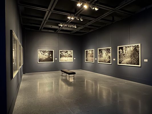 New Orleans Museum of Art by null New Orleans Museum of Art by null