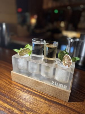 Zuma Miami by null