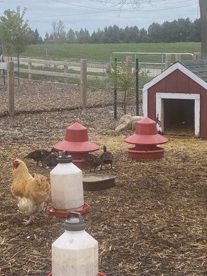 Plymouth Orchards & Cider Mill by null