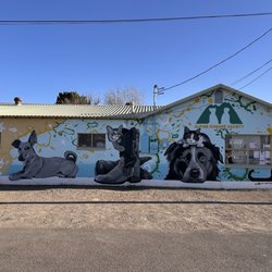 Alpine Humane Society Thrift Store and Cattery - 2.15.2025