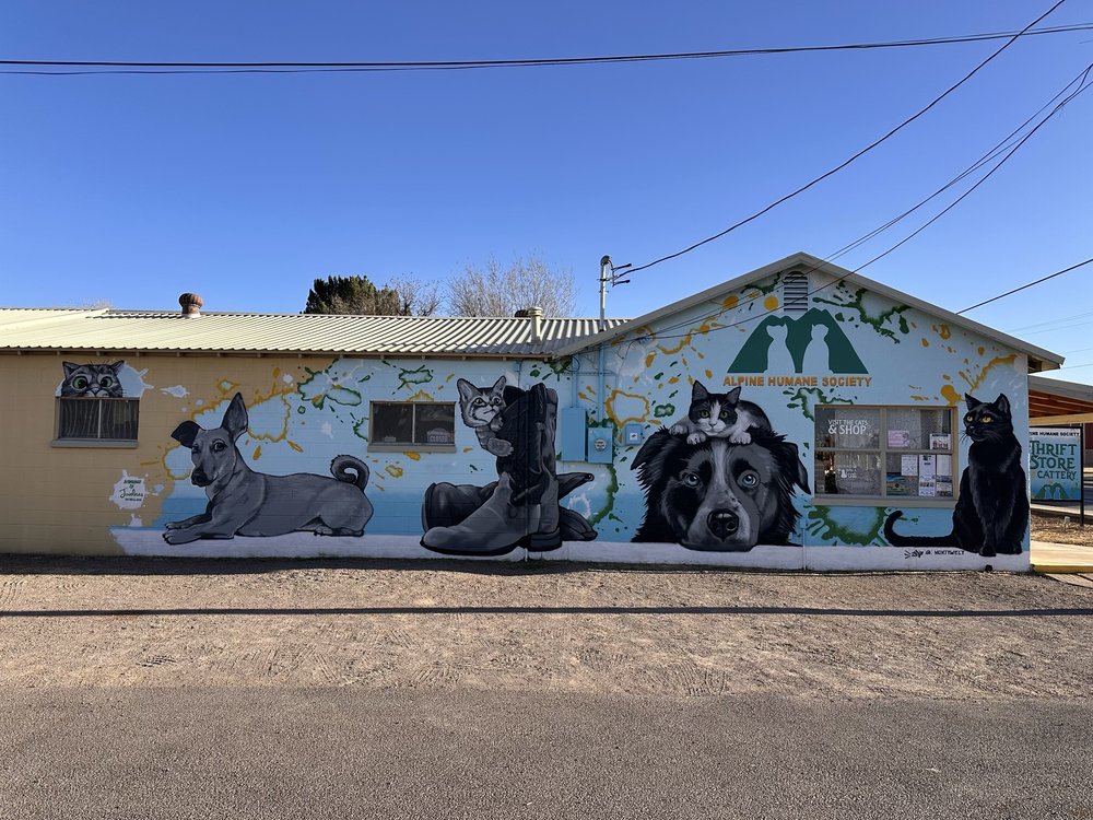 Alpine Humane Society Thrift Store and Cattery Image