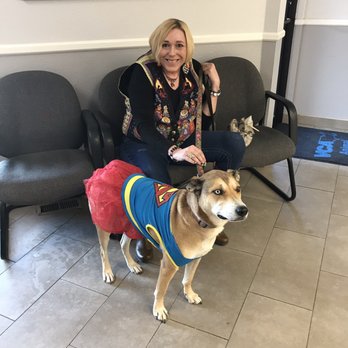 Colorado Puppy Rescue - She is Super Girl every year on Halloween. Neighbor kids come by Halloween to get their pics with Super Girl Dog! - Animal Shelters Near Me - Centennial, Colorado Colorado Puppy Rescue - She is Super Girl every year on Halloween. Neighbor kids come by Halloween to get their pics with Super Girl Dog! - Animal Shelters Near Me - Centennial, Colorado