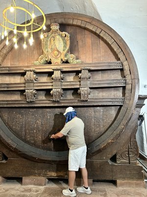 Grand Circle Travel by null