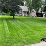 Zuniga Mowing N Landscape