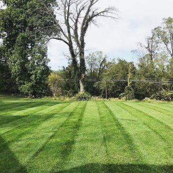 Kings Lawn Care - a freshly mowed lawn - Lawn Services Near Me - Easton, Pennsylvania Kings Lawn Care - a freshly mowed lawn - Lawn Services Near Me - Easton, Pennsylvania