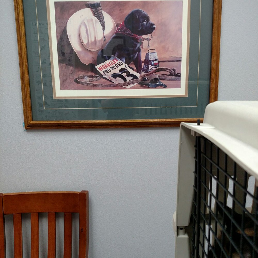 Cherry Creek Veterinary Hospital - Cute wall art in one of the exam rooms. 2019-01-20 - Veterinarians Near Me - Antelope, California Cherry Creek Veterinary Hospital - Cute wall art in one of the exam rooms. 2019-01-20 - Veterinarians Near Me - Antelope, California