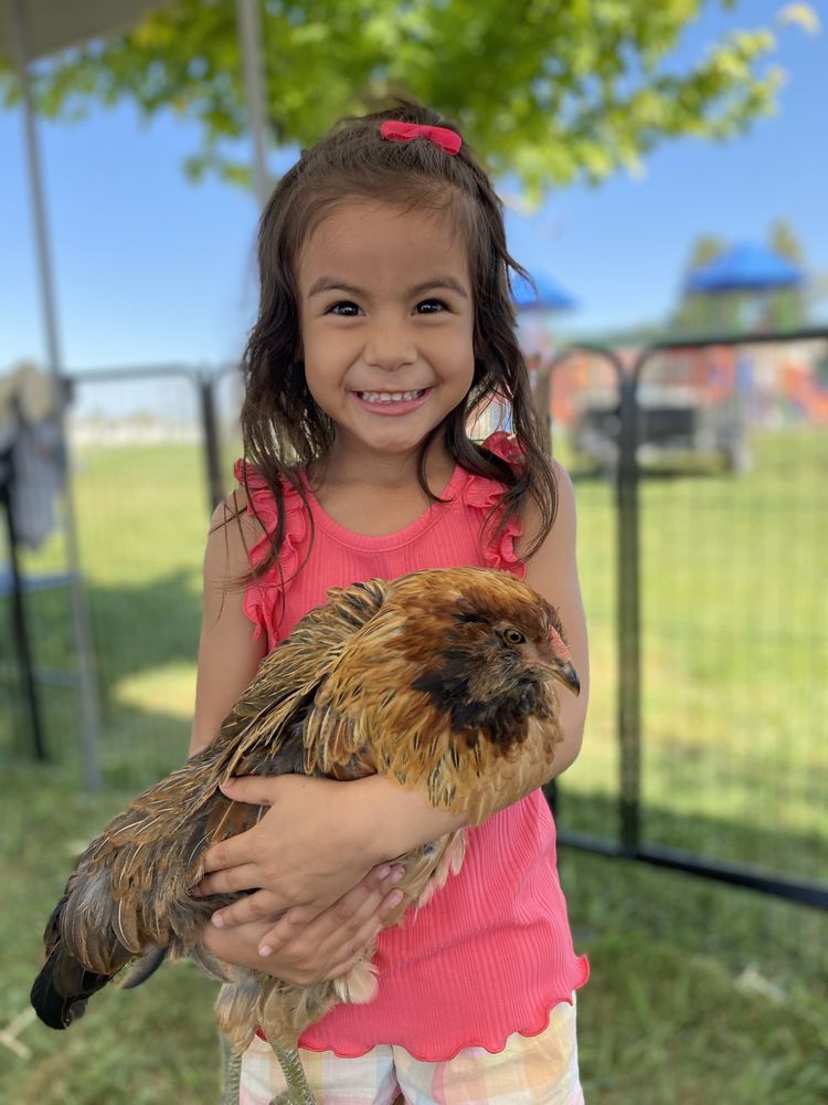 Dixie’s Mobile Mini Farm Logo
