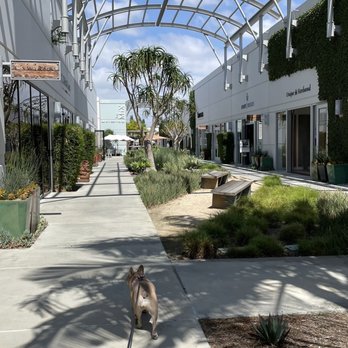 SoCo Collection Gardens