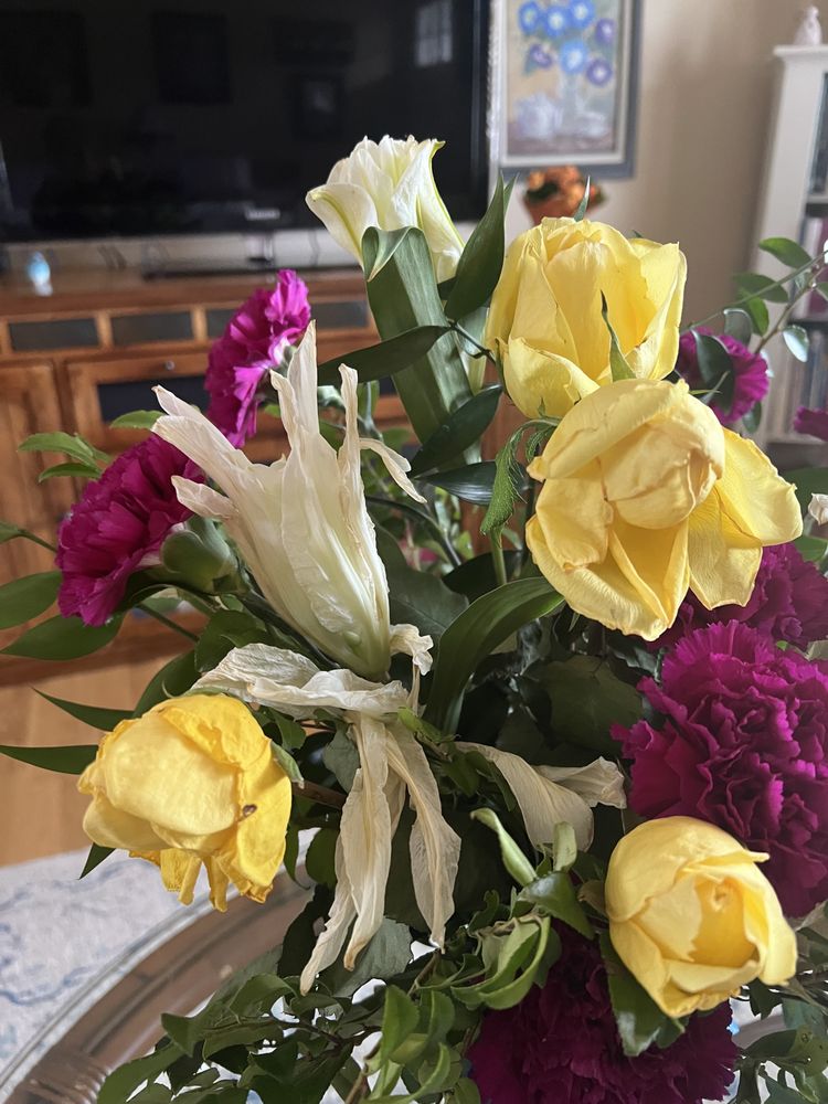 ALL SEASONS GARDEN & FLORAL Updated May 2024 11 Reviews 31831 Hwy