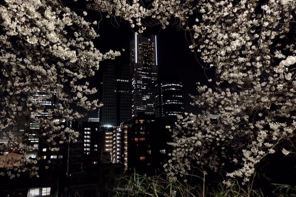 Kamon-yama Park by null