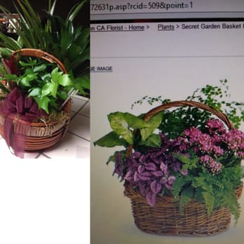 Adelaide Floral - Was this an adequate substitution? This basket was for a grieving family member. I don't want compensation. Disappointed... - Florists Near Me - Templeton, California