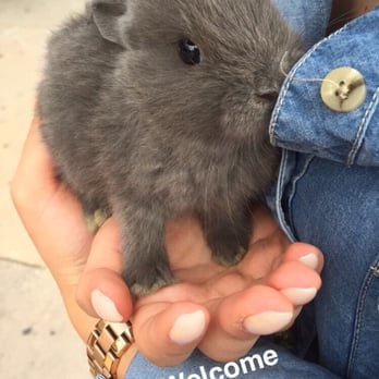Noah's Ark - My munchie passed away !!! - Pet Stores Near Me - El Monte, California