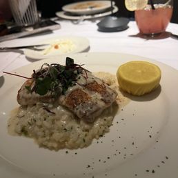 halibut