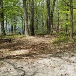 Monroe Lake Park - Campgrounds site