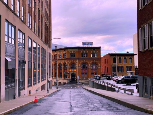 New York State Capitol by null