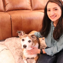 Aloha Veterinary Acupuncture