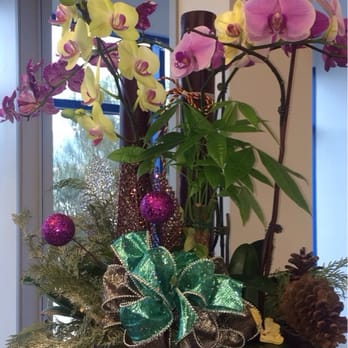 Rosemead Eye Center - Ophthalmologists Near Me - Rosemead, California Rosemead Eye Center - Ophthalmologists Near Me - Rosemead, California