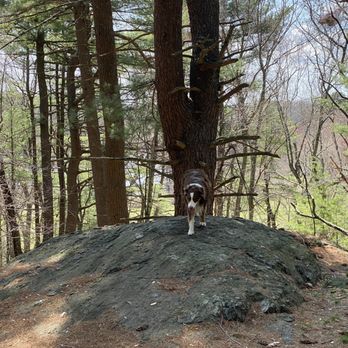 Cat Rock Park - Dog Parks Near Me - Weston, Massachusetts