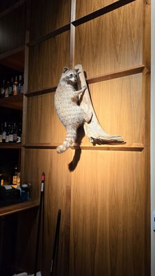 Mulberry Street Tavern by null