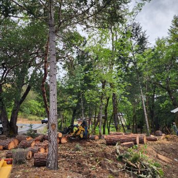 Tree Titans - Tree Services Near Me - Grants Pass, Oregon Tree Titans - Tree Services Near Me - Grants Pass, Oregon