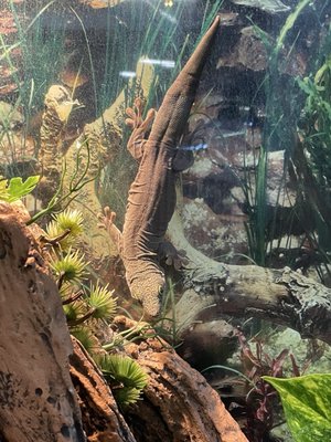 Biomes Marine Biology Center by null