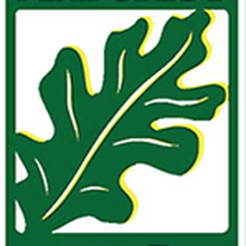Green Wise Group - Tree Services Near Me - Miami, Florida Green Wise Group - Tree Services Near Me - Miami, Florida