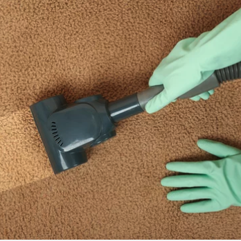 Reid's Carpet Cleaning - Carpet Cleaning Near Me - Kalispell, Montana Reid's Carpet Cleaning - Carpet Cleaning Near Me - Kalispell, Montana