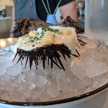 One Fish Raw Bar - Fort Bragg sea urchin - Seafood Near Me - Campbell, California One Fish Raw Bar - Fort Bragg sea urchin - Seafood Near Me - Campbell, California