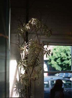 Rabbit Crew Coffee & Tea by null