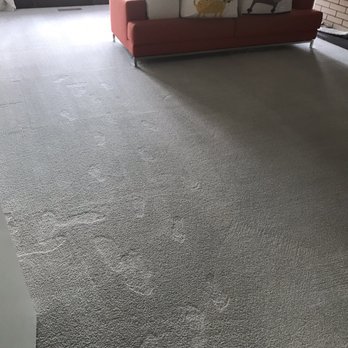 Crystal Carpet Cleaning & Restoration - Before cleaning, this had a number of stubborn pee stains from our dog embedded in the carpet, and now looks brand new! - Carpet Cleaning Near Me - Bellevue, Washington Crystal Carpet Cleaning & Restoration - Before cleaning, this had a number of stubborn pee stains from our dog embedded in the carpet, and now looks brand new! - Carpet Cleaning Near Me - Bellevue, Washington