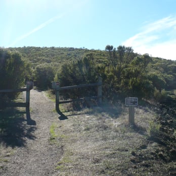 Windy Hill Open Space Preserve - At the end of the Spring Ridge Trail on Skyline Blvd. Anniversary Trail on left, bypass trail on right - Parks Near Me Windy Hill Open Space Preserve - At the end of the Spring Ridge Trail on Skyline Blvd. Anniversary Trail on left, bypass trail on right - Parks Near Me