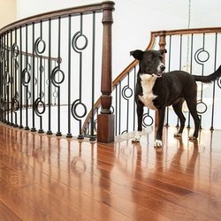 Aladdin Carpet & Floors - Hardwood Installation by Aladdin Carpet & floors