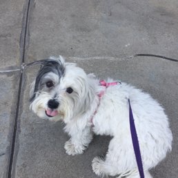 Thanks Abby for taking such great care of my little heart Moko! Thanks Abby for taking such great care of my little heart Moko!