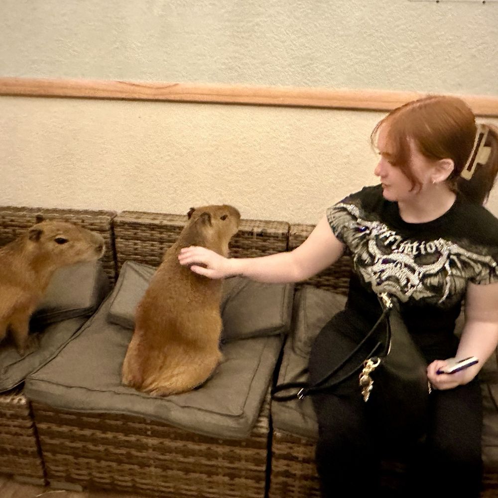 The Capybara Cafe - Themed Cafes Near Me - St. Augustine, Florida The Capybara Cafe - Themed Cafes Near Me - St. Augustine, Florida