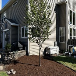Perricone Garden Center & Nursery - Robin Hill Serviceberry!